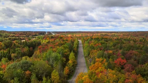 Beautiful Quebec at its peak in fall foliage Stock Footage 245795647