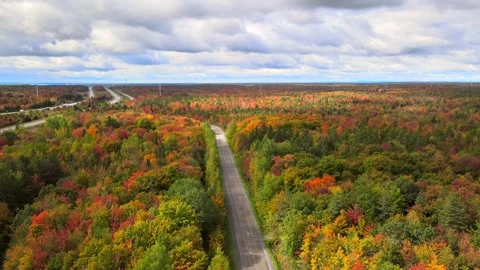 Beautiful Quebec at its peak in fall foliage Stock Footage 245795652
