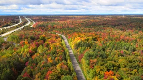 Beautiful Quebec at its peak in fall foliage Stock Footage 245795722