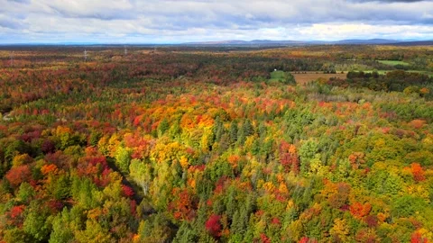 Beautiful Quebec at its peak in fall foliage Stock Footage 245795760