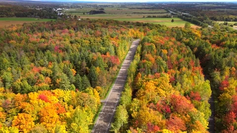 Beautiful Quebec at its peak in fall foliage Stock Footage 245795860