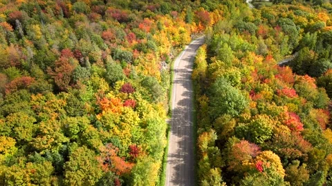 Beautiful Quebec at its peak in fall foliage Stock Footage 245795868