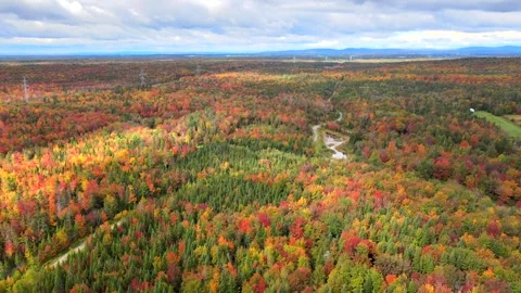 Beautiful Quebec at its peak in fall foliage Stock Footage 245795928