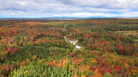 Beautiful Quebec at its peak in fall foliage Stock Footage 245795961