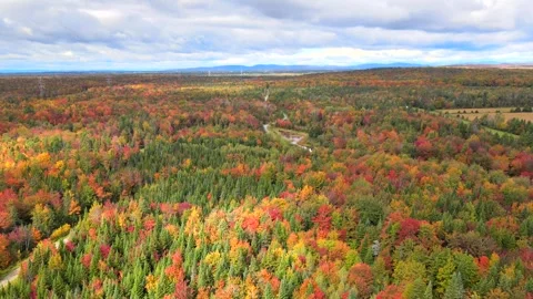 Beautiful Quebec at its peak in fall foliage Stock Footage 245795977