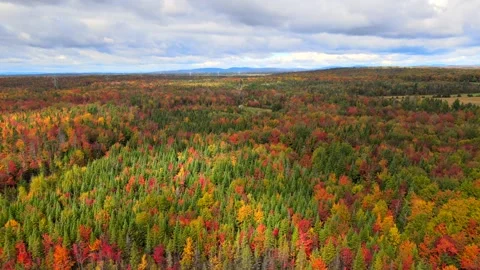 Beautiful Quebec at its peak in fall foliage Stock Footage 245796030
