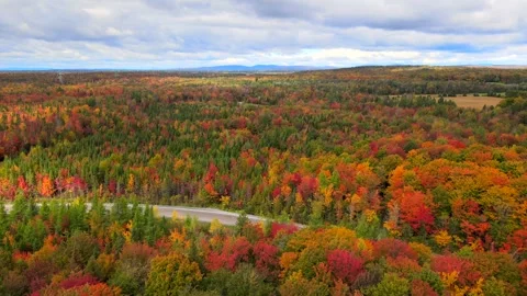Beautiful Quebec at its peak in fall foliage Stock Footage 245796046