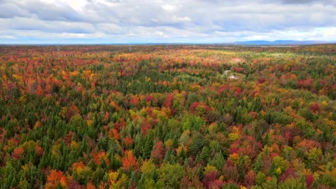 Beautiful Quebec at its peak in fall foliage Stock Footage 245796087