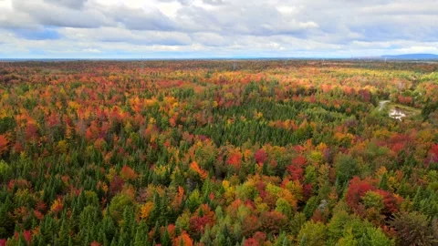 Beautiful Quebec at its peak in fall foliage Stock Footage 245796101