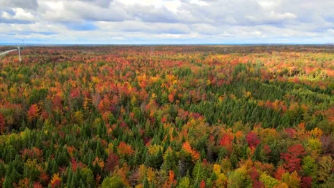 Beautiful Quebec at its peak in fall foliage Stock Footage 245796118