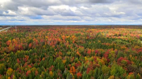 Beautiful Quebec at its peak in fall foliage Stock Footage 245796136
