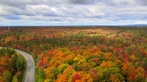 Beautiful Quebec at its peak in fall foliage Stock Footage 245796200