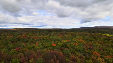 Beautiful Quebec at its peak in fall foliage Stock Footage 245796346