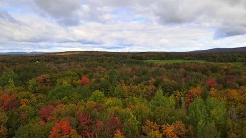 Beautiful Quebec at its peak in fall foliage Stock Footage 245796597
