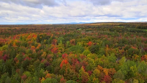 Beautiful Quebec at its peak in fall foliage Stock Footage 245796705