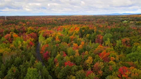 Beautiful Quebec at its peak in fall foliage Stock Footage 245796769
