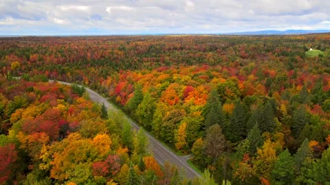 Beautiful Quebec at its peak in fall foliage Stock Footage 245796778