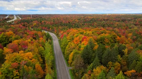 Beautiful Quebec at its peak in fall foliage Stock Footage 245796890