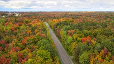 Beautiful Quebec at its peak in fall foliage Stock Footage 245796902
