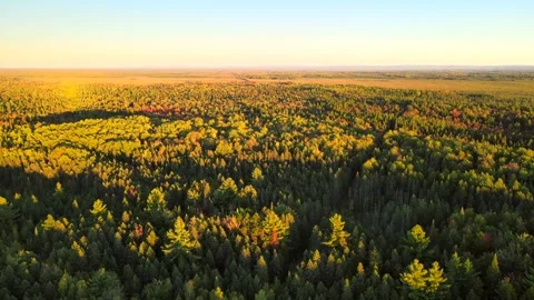 Beautiful Quebec at its peak in fall foliage Stock Footage 245797077
