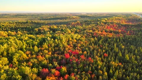 Beautiful Quebec at its peak in fall foliage Stock Footage 245797143