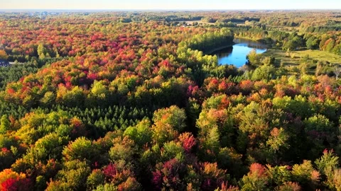 Beautiful Quebec at its peak in fall foliage Stock Footage 245797615