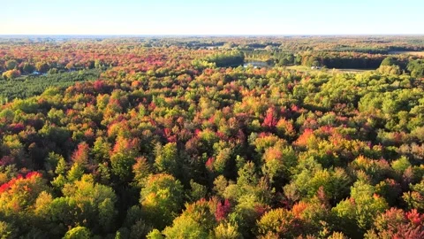 Beautiful Quebec at its peak in fall foliage Stock Footage 245797621