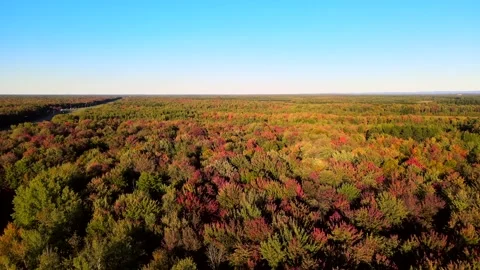 Beautiful Quebec at its peak in fall foliage Stock Footage 245797715