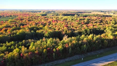 Beautiful Quebec at its peak in fall foliage Stock Footage 245797730