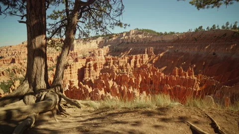 Beautiful quiet Sunset Point, Bryce Canyon Stock Footage 208956590