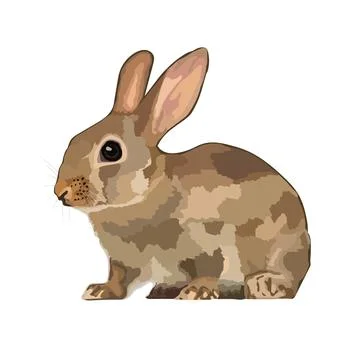Beautiful rabbit realistic icon vector wild animal. Stock Illustration
