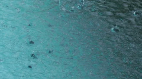 Beautiful rain background with thunder Stock Footage 51755319