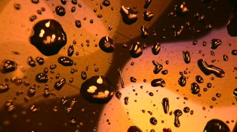 Beautiful rain drops Stock Footage 263778