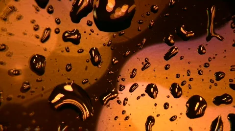 Beautiful rain drops Stock Footage 263915