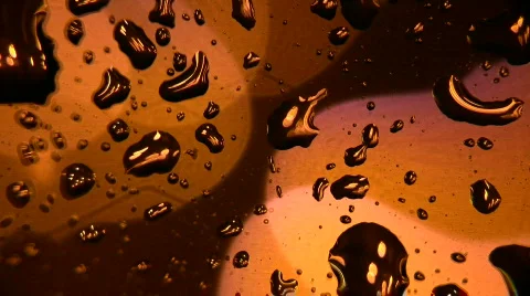 Beautiful rain drops Stock Footage 264035