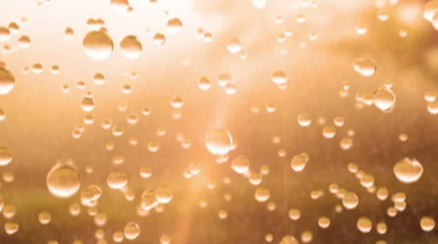 Beautiful Rain Drops in Slow Motion, Sun Shine, Looped animation. Stock Footage 56937183