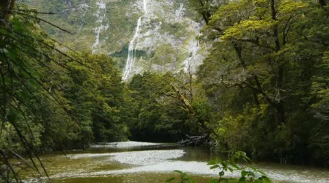 Beautiful rain forest river with waterfall Stock Footage 10738812