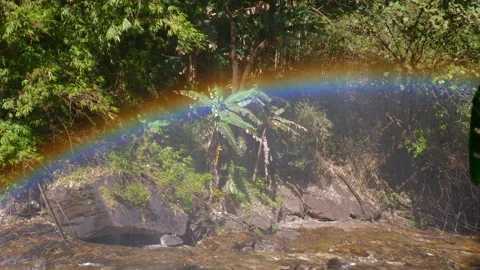 Beautiful rainbow arching over lush forest stream and vibrant greenery Видео 280020951