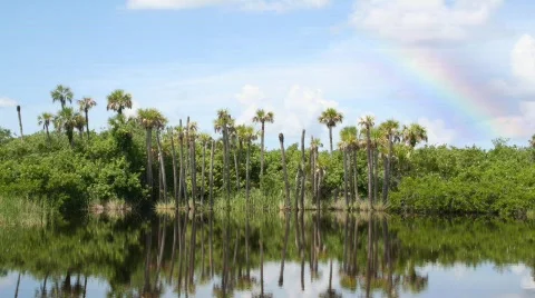 Beautiful Rainbow Created Stock Footage 781217