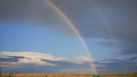 Beautiful rainbow over the field Foto stock