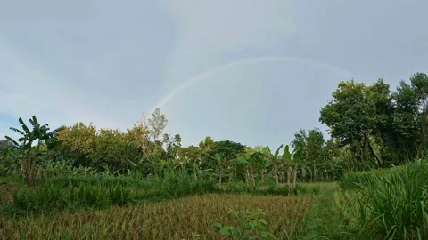 Beautiful Rainbow Over Rice Fields Countryside Landscape in Indonesia Stock Footage 334638897