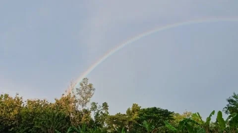 Beautiful Rainbow Over Rice Fields Countryside Landscape in Indonesia Stock Footage 334638920