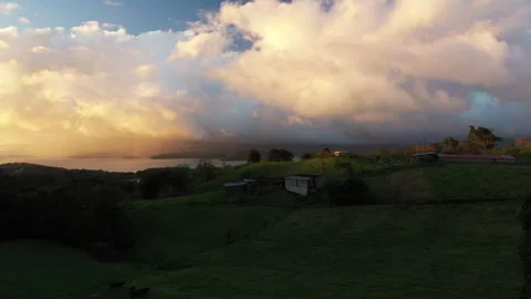 Beautiful rainforest sunset Video stock 274153493