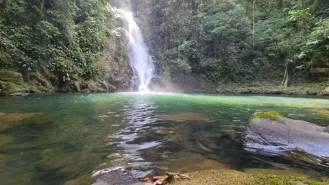 Beautiful rainforest waterfall with crystal clear turquoise pool Stock Footage 345100749