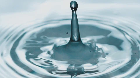 Beautiful rain/water drops Video stock 102528600