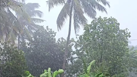 Beautiful rainy day Stock Footage 315570143