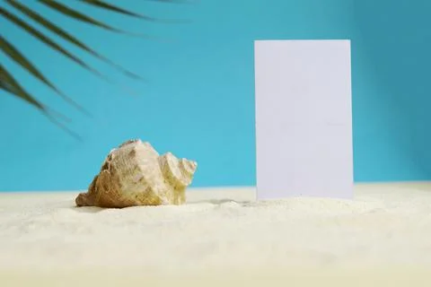 Beautiful rapana shell on the sandy beach. Summer vacation background. Stock Photos