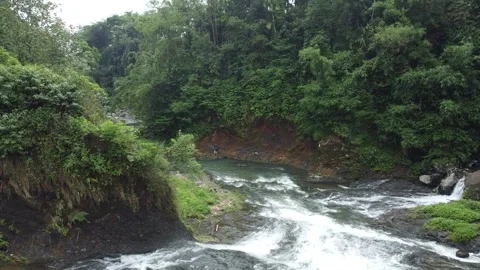 Beautiful Rapids Flowing Through A Lush Green Forest In A Serene Natural Setting Stock Footage 259554698
