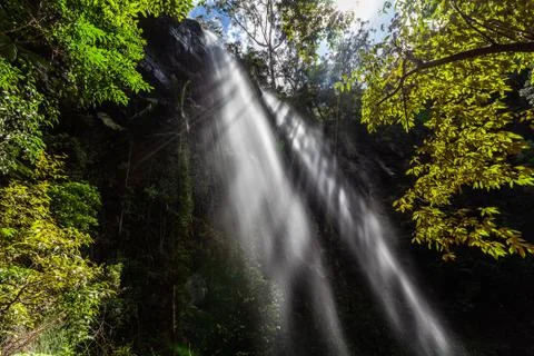 Beautiful rays of light protruding through high waterfall and lush vegetation Stock Photos