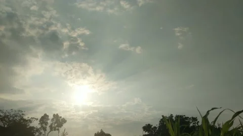 Beautiful rays of the sun at sunset Video stock 205018250